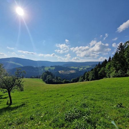 Villa Turisticna Kmetija Ramsak Zreče Esterno foto