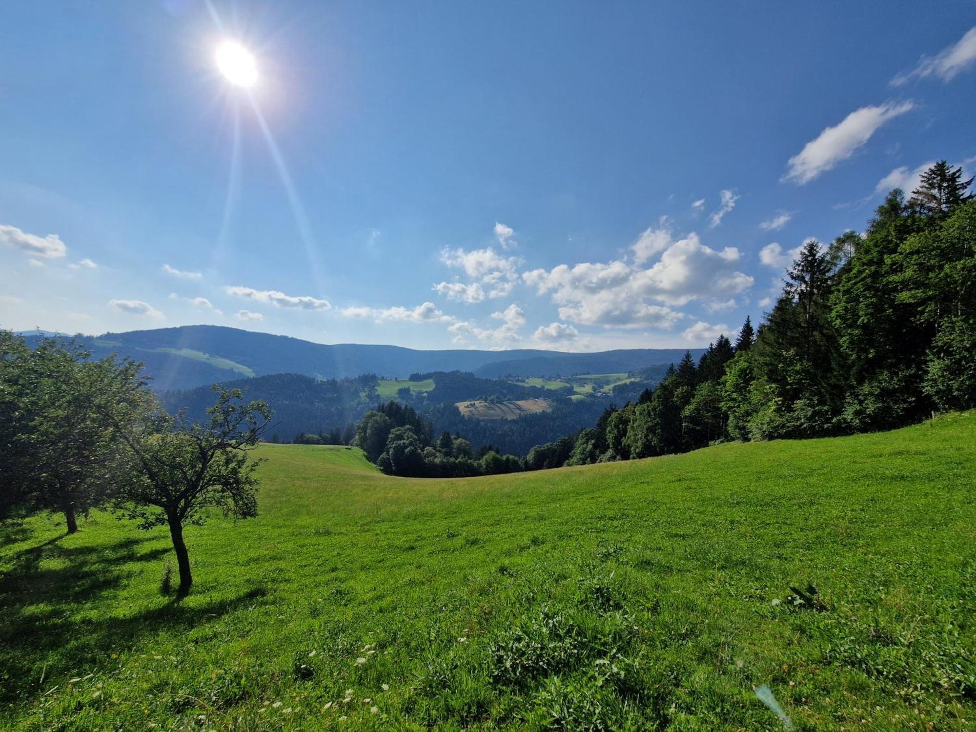 Villa Turisticna Kmetija Ramsak Zreče Esterno foto
