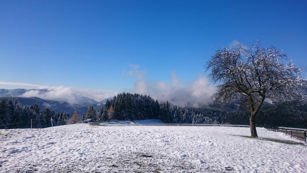 Villa Turisticna Kmetija Ramsak Zreče Esterno foto